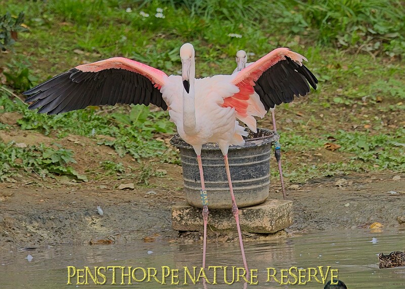 251009PENSOCT00137A.JPG