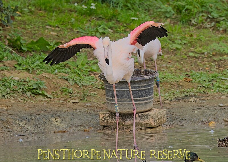 251009PENSOCT00138A.JPG