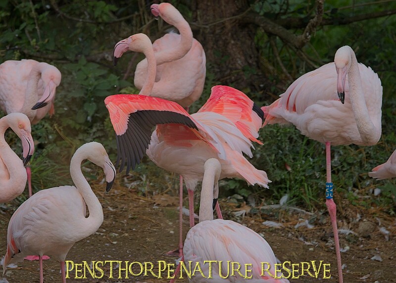 251009PENSOCT00149A.JPG