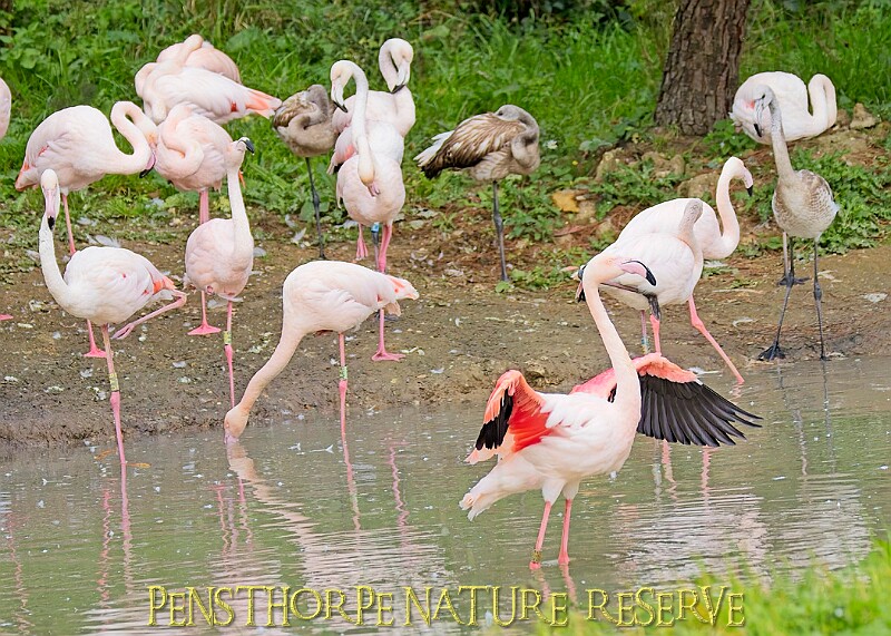 251009PENSOCT00183A.JPG