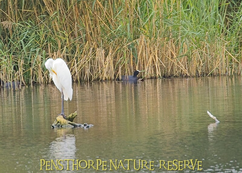 251009PENSOCT00184A.JPG