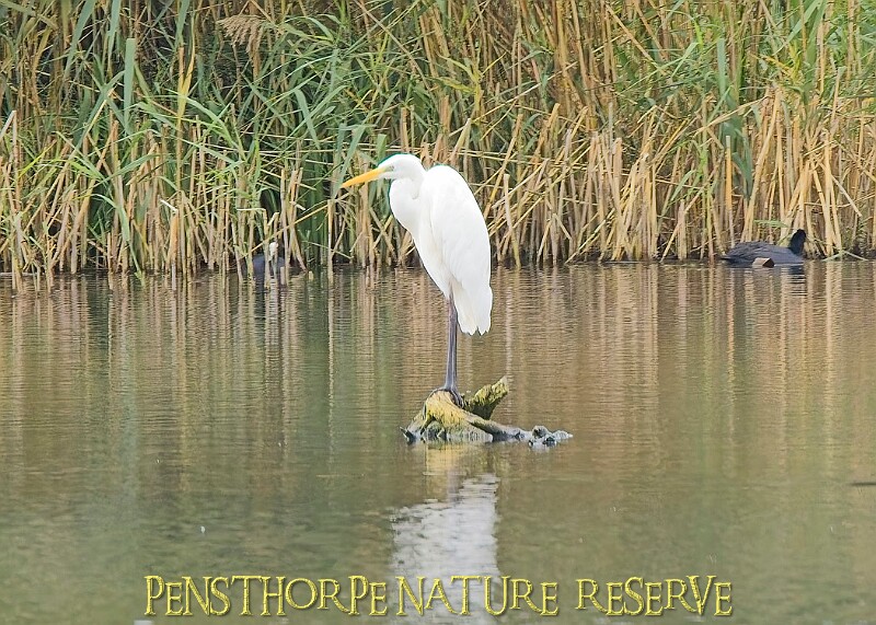 251009PENSOCT00189A.JPG
