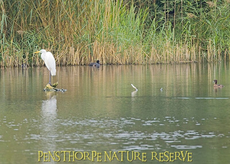 251009PENSOCT00190A.JPG