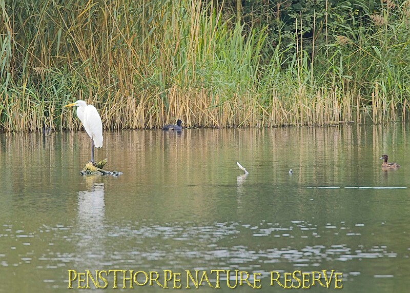 251009PENSOCT00193A.JPG