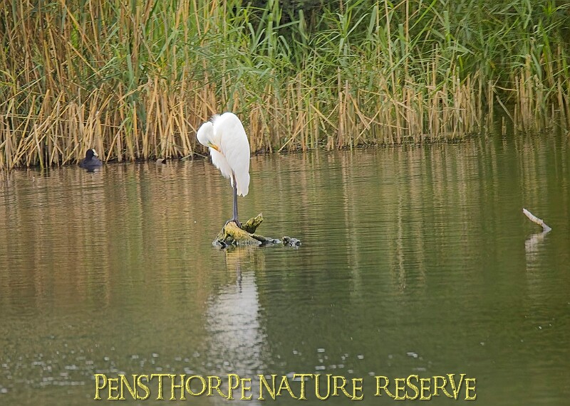 251009PENSOCT00195A.JPG