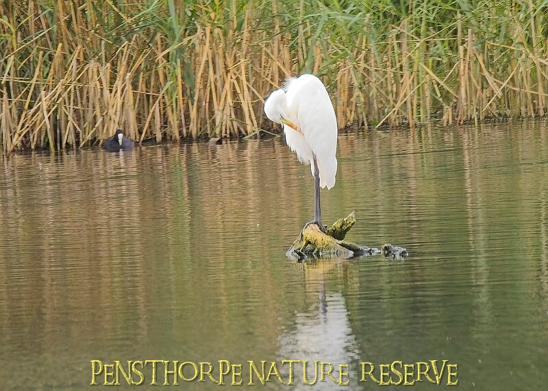 251009PENSOCT00197A.JPG