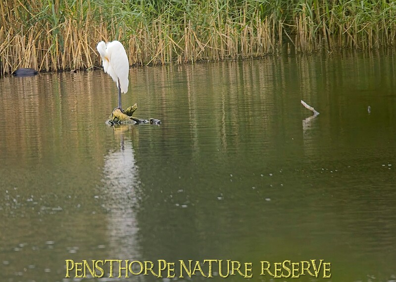 251009PENSOCT00199A.JPG