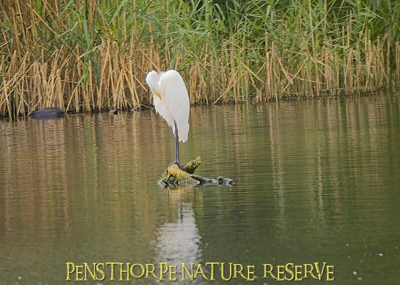 251009PENSOCT00200A.JPG