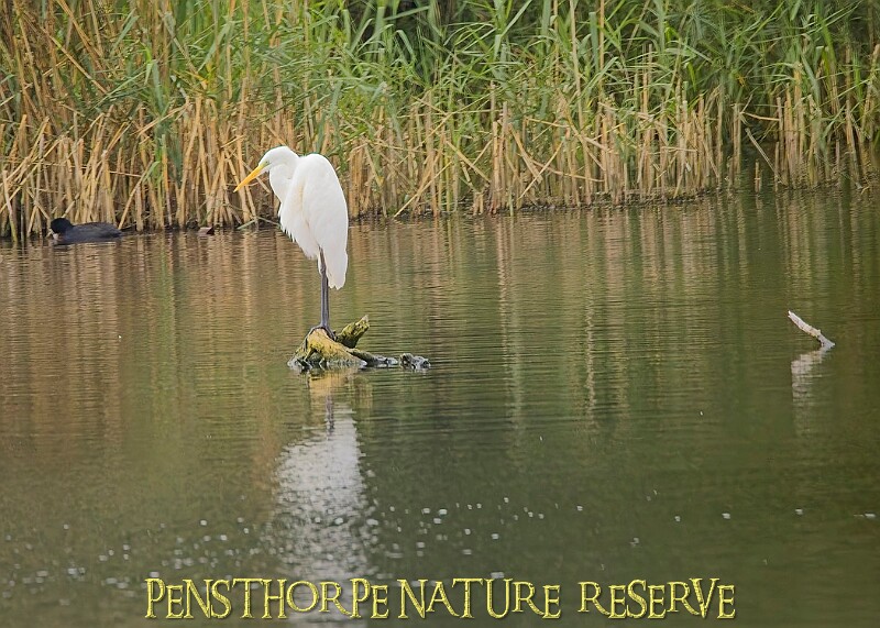 251009PENSOCT00201A.JPG