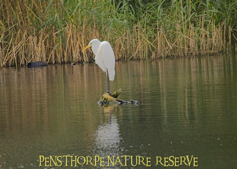 251009PENSOCT00202A.JPG