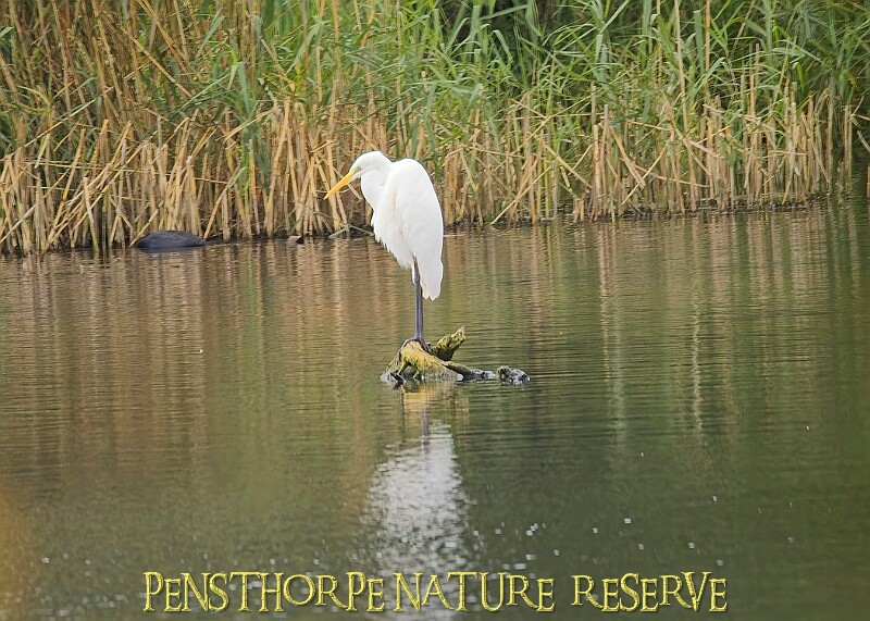 251009PENSOCT00203A.JPG