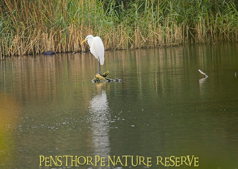 251009PENSOCT00204A.JPG