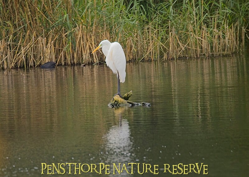 251009PENSOCT00205A.JPG