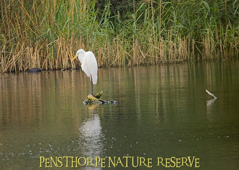 251009PENSOCT00206A.JPG