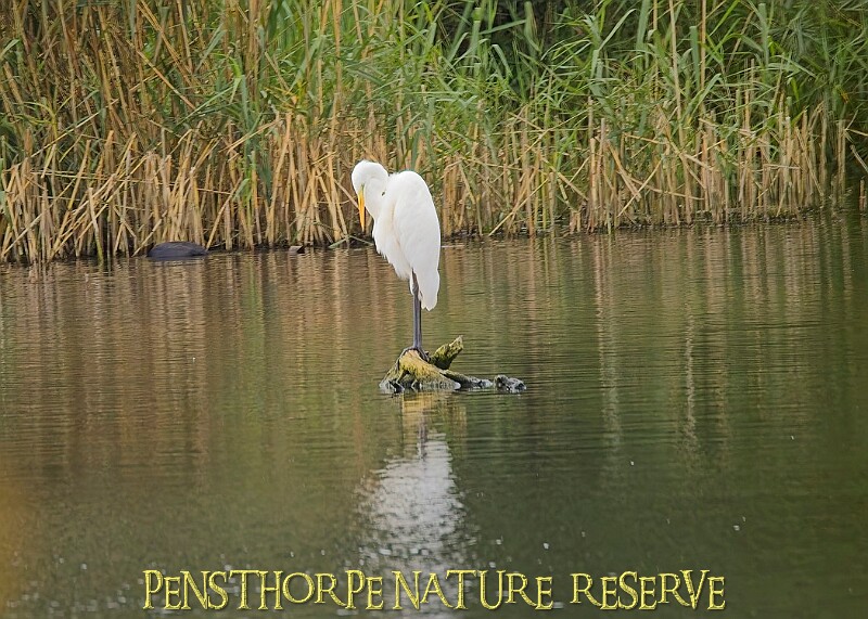 251009PENSOCT00207A.JPG