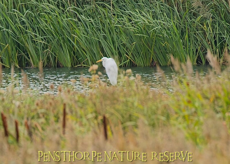 251009PENSOCT00216A.JPG