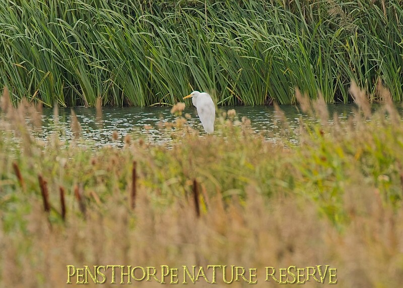 251009PENSOCT00217A.JPG