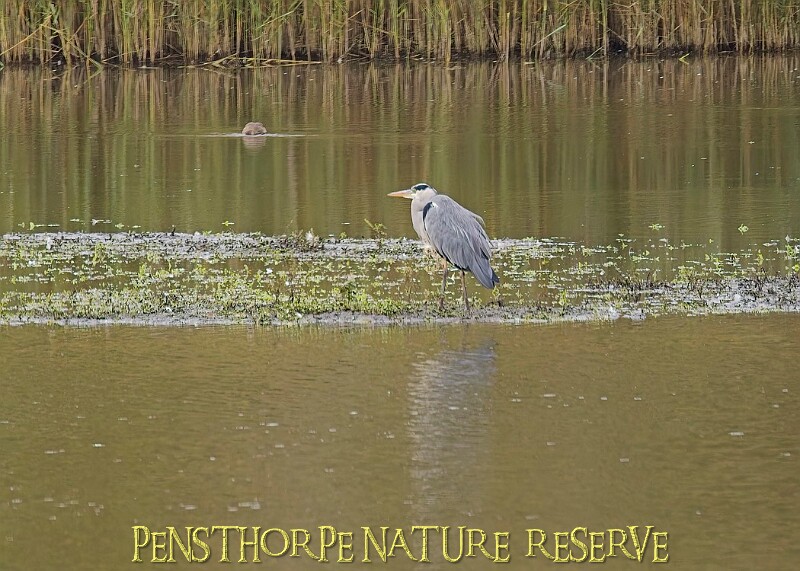 251009PENSOCT00221A.JPG