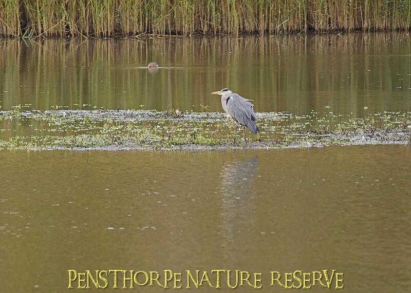 251009PENSOCT00223A.JPG