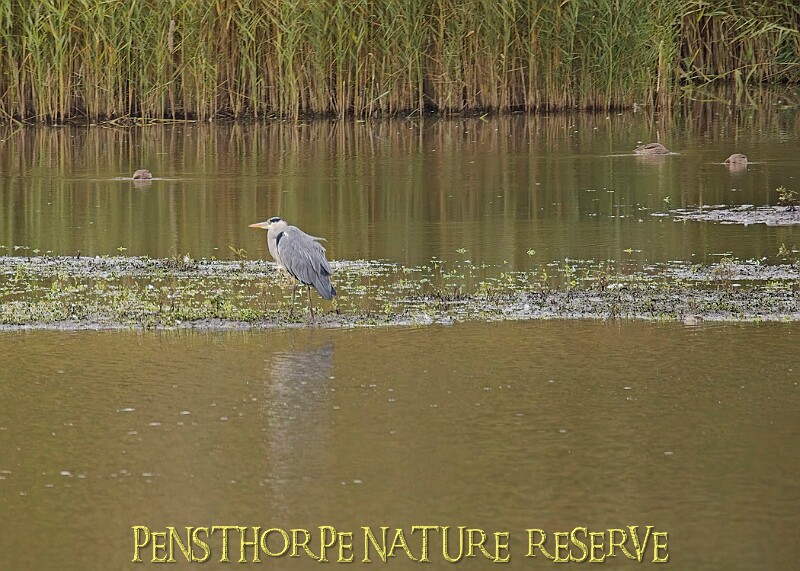 251009PENSOCT00224A.JPG