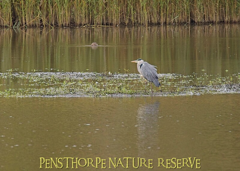 251009PENSOCT00225A.JPG