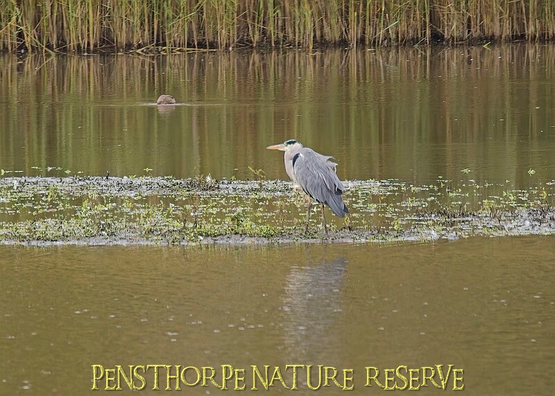 251009PENSOCT00227A.JPG