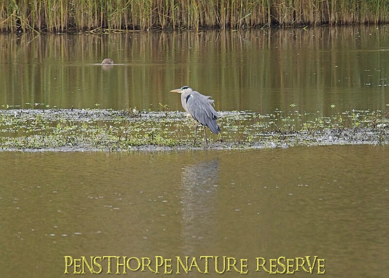 251009PENSOCT00228A.JPG