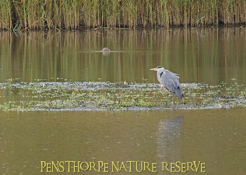 251009PENSOCT00229A.JPG