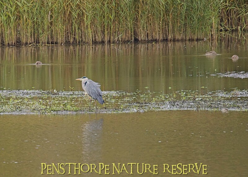 251009PENSOCT00230A.JPG
