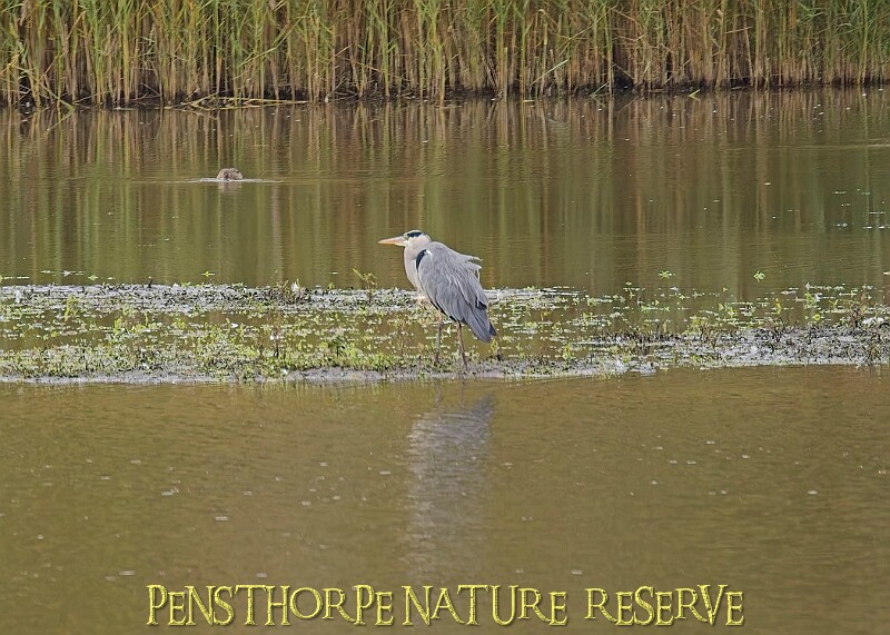 251009PENSOCT00231A.JPG