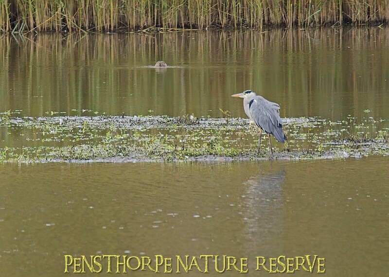 251009PENSOCT00232A.JPG