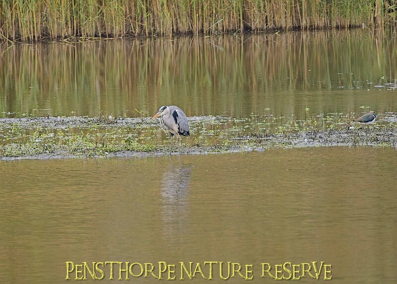 251009PENSOCT00238A.JPG