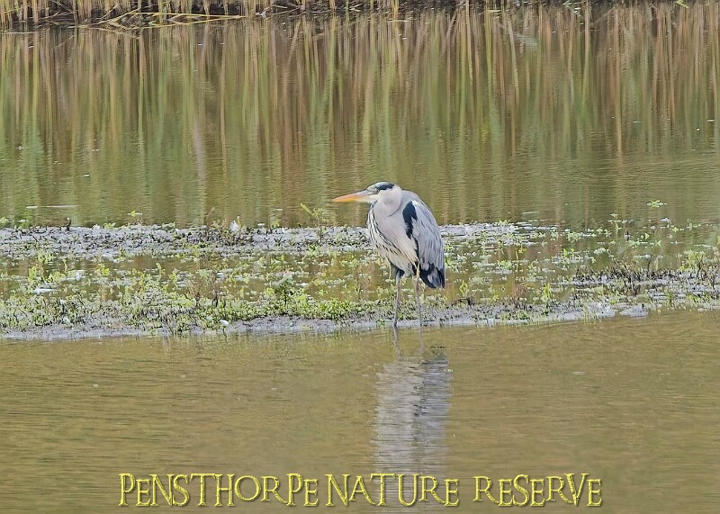 251009PENSOCT00240A.JPG