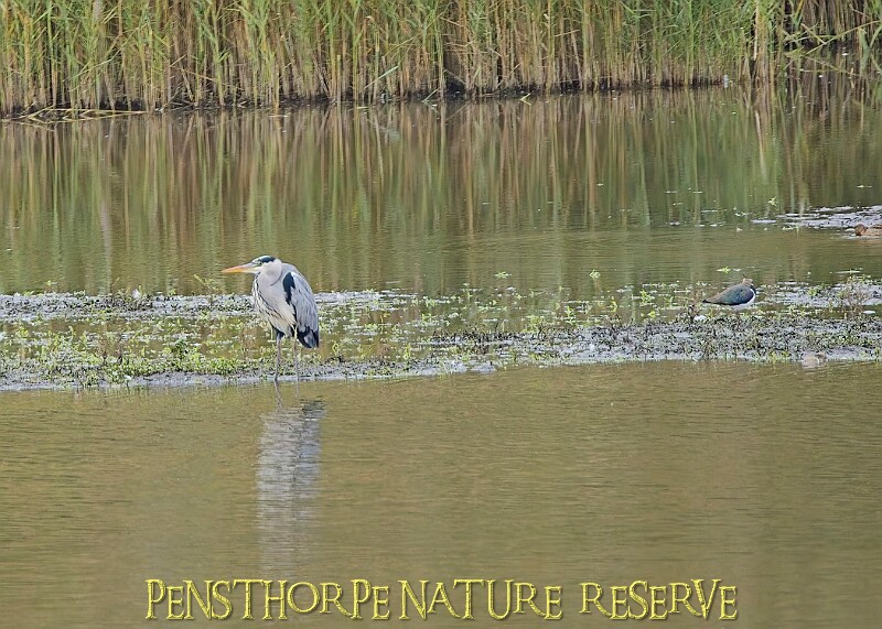 251009PENSOCT00241A.JPG
