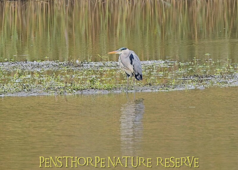 251009PENSOCT00242A.JPG