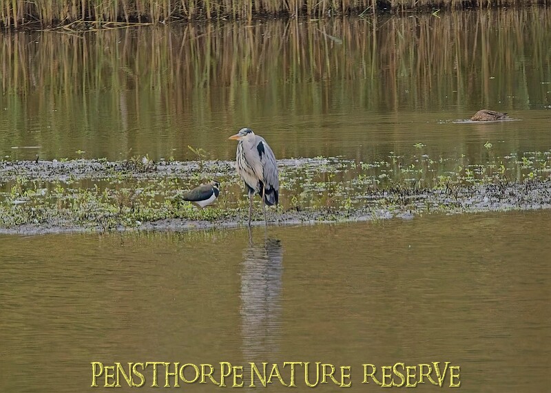251009PENSOCT00243A.JPG