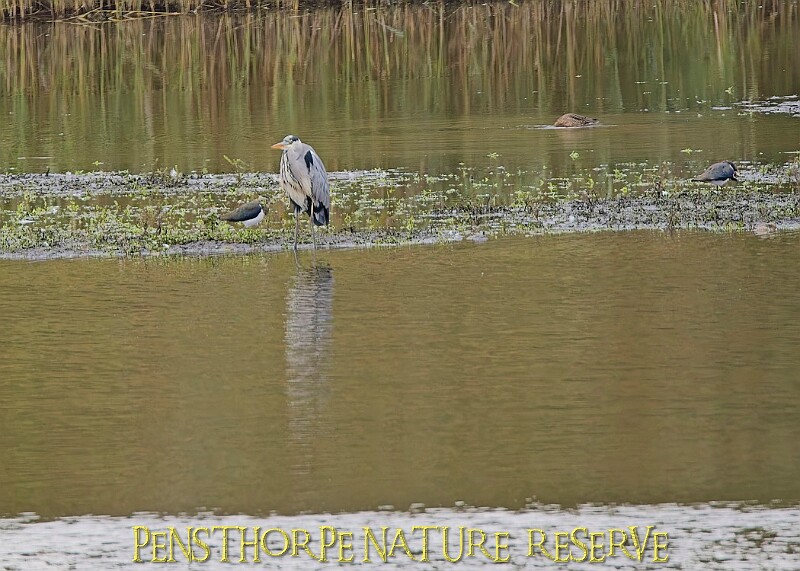 251009PENSOCT00244A.JPG