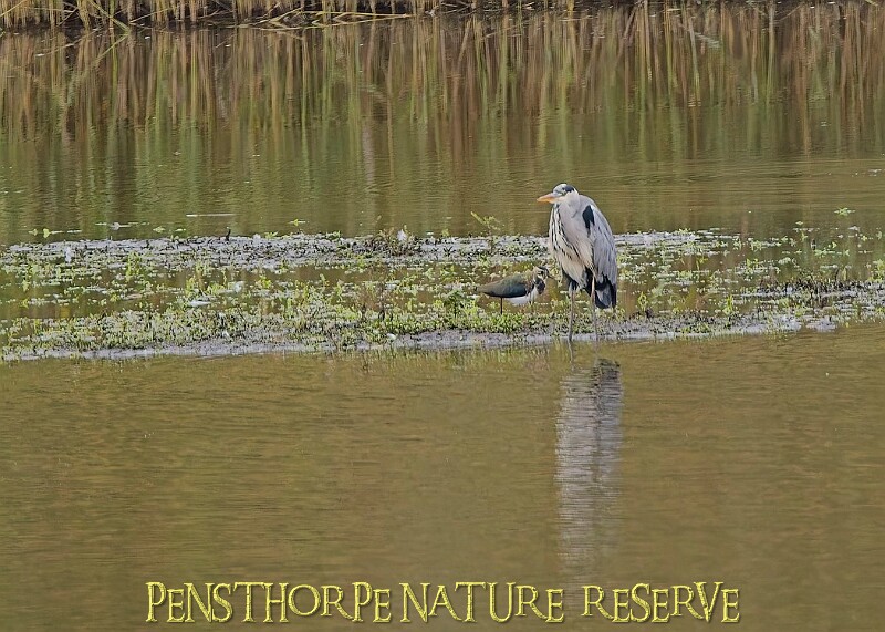 251009PENSOCT00245A.JPG