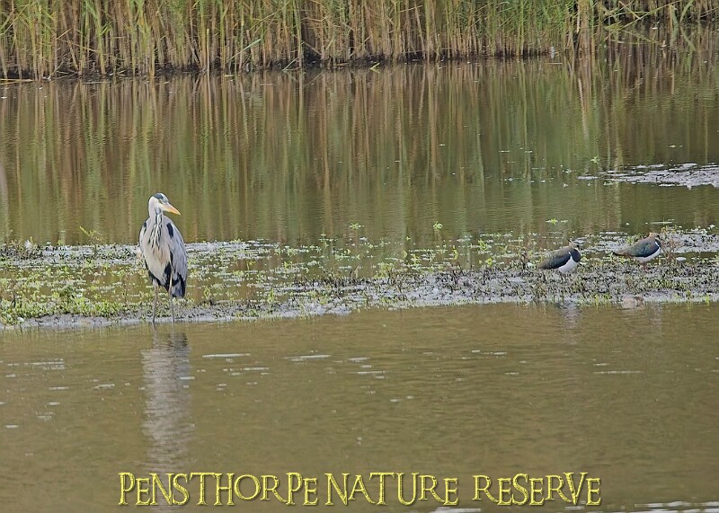 251009PENSOCT00249A.JPG