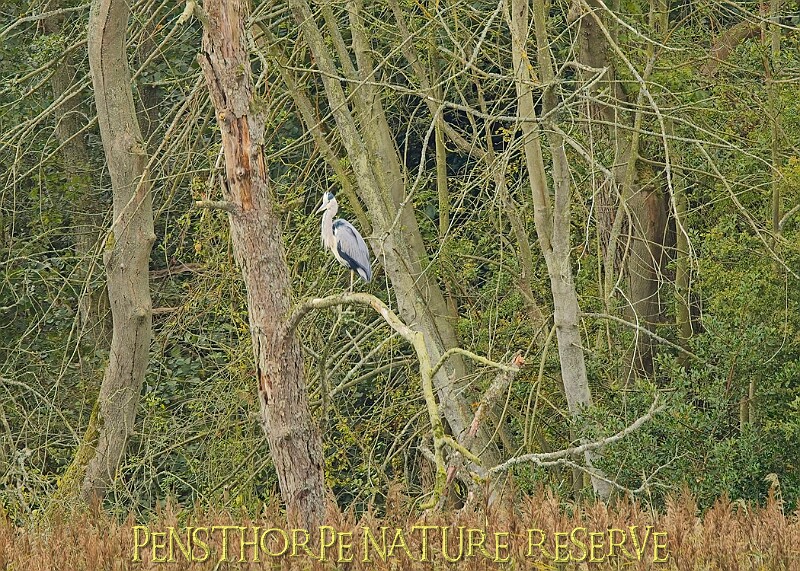 251009PENSOCT00261A.JPG