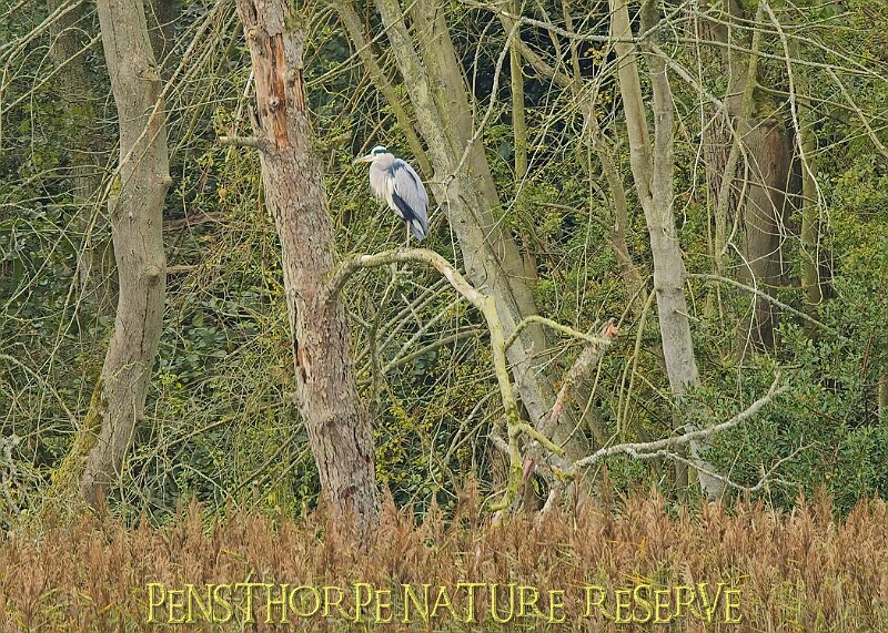 251009PENSOCT00265A.JPG