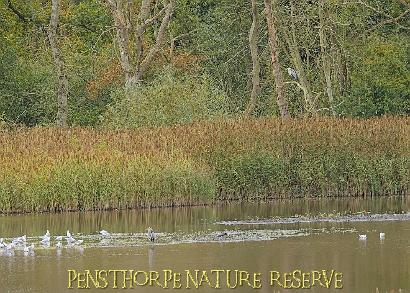 251009PENSOCT00268A.JPG