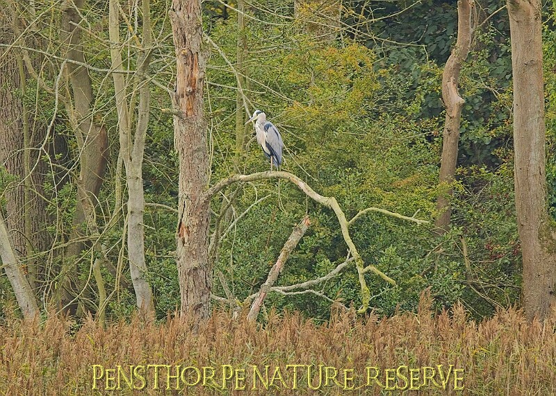 251009PENSOCT00276A.JPG