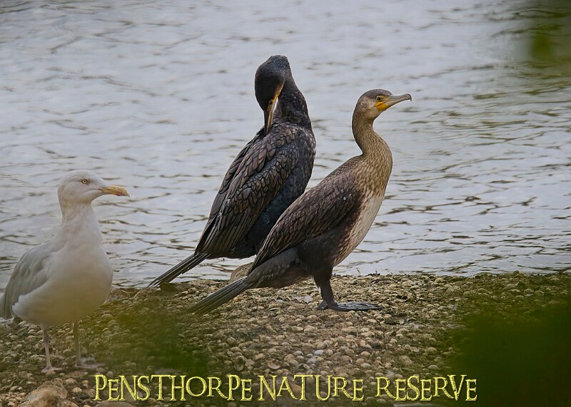 251009PENSOCT00277A.JPG