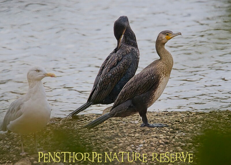 251009PENSOCT00279A.JPG