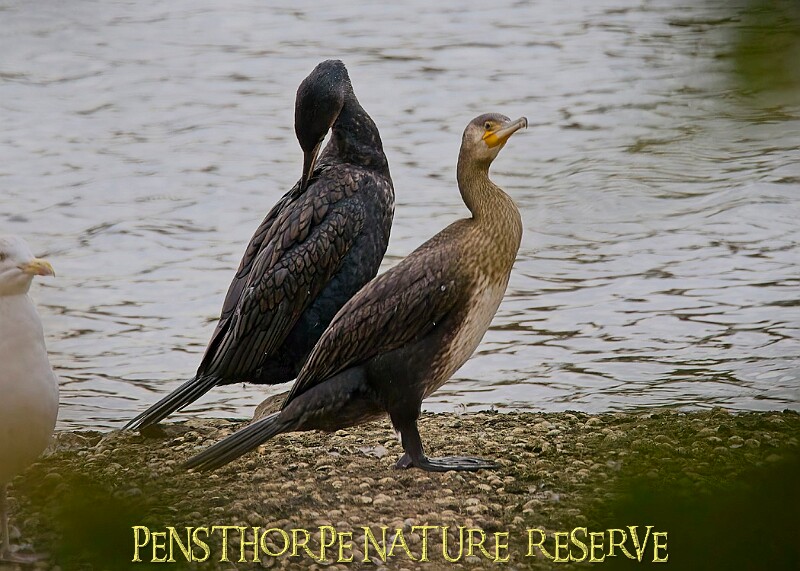 251009PENSOCT00283A.JPG
