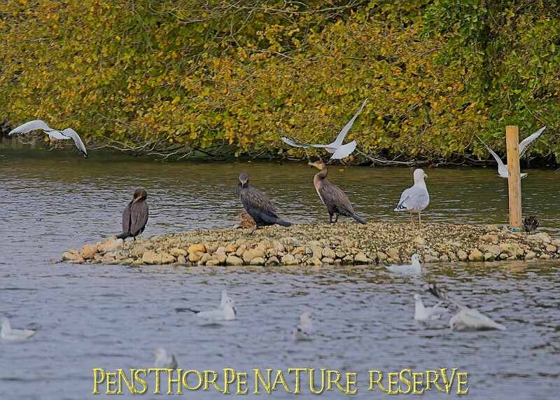 251009PENSOCT00304A.JPG