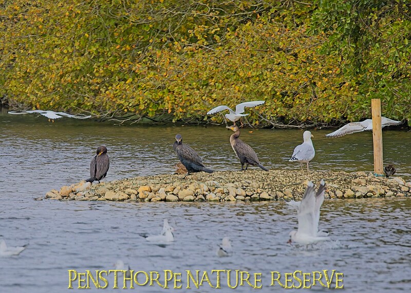 251009PENSOCT00305A.JPG