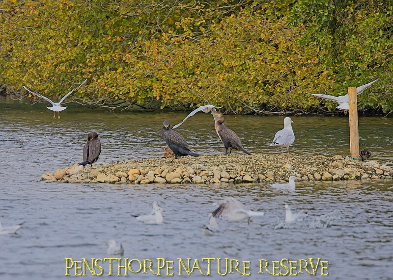 251009PENSOCT00306A.JPG