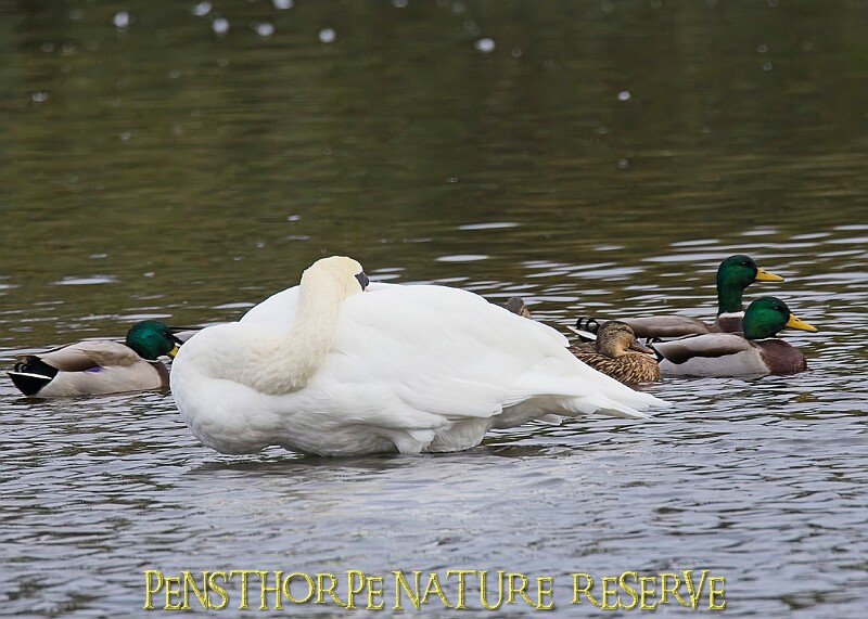 251009PENSOCT00313A.JPG
